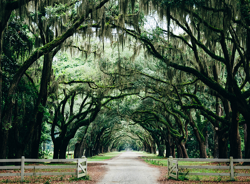 Long country road